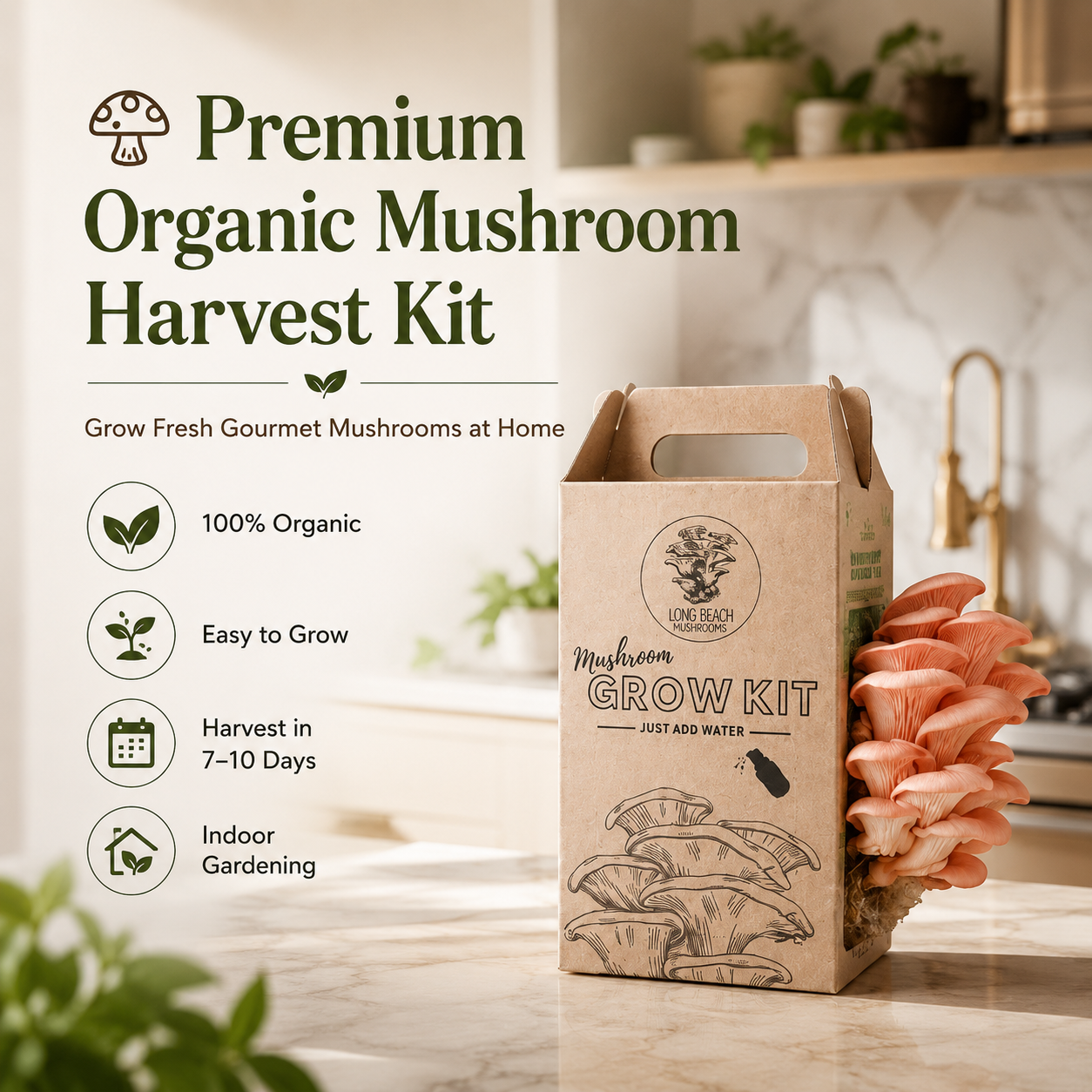 Premium Organic Mushroom Harvest Kit | BUY 1 GET 1 FREE