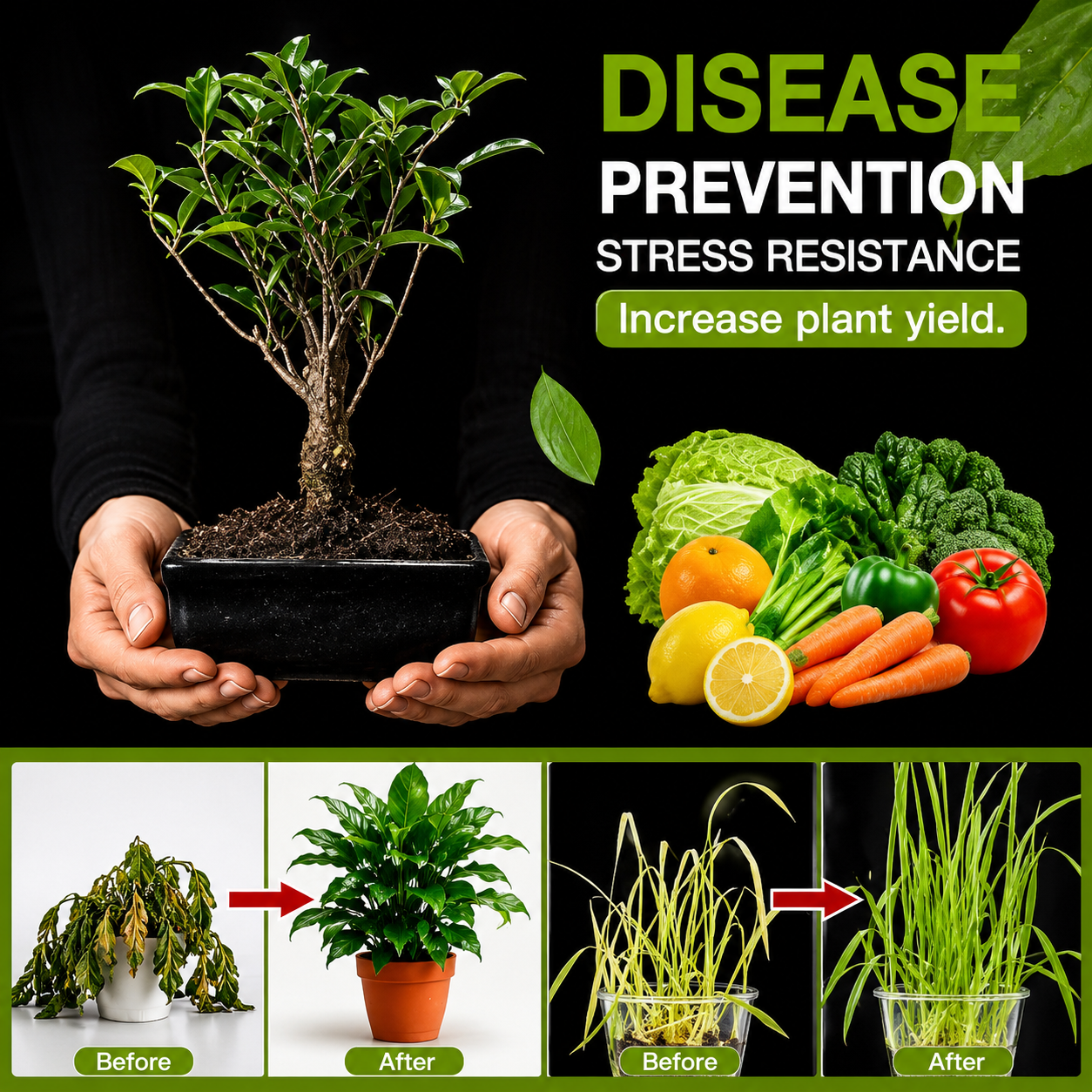 Soil Activator – Rapid Growth Booster - Buy 1 Get 1 Free