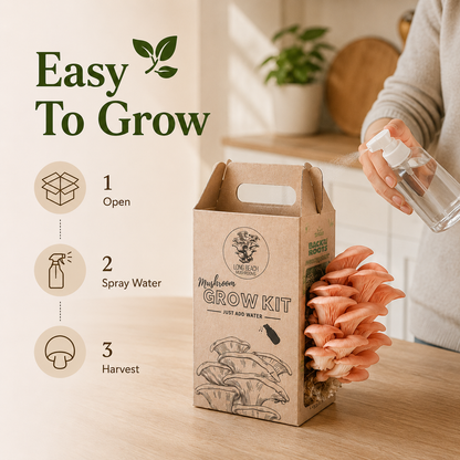 Premium Organic Mushroom Harvest Kit | BUY 1 GET 1 FREE