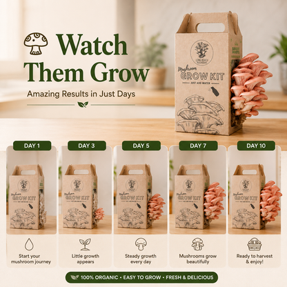 Premium Organic Mushroom Harvest Kit | BUY 1 GET 1 FREE