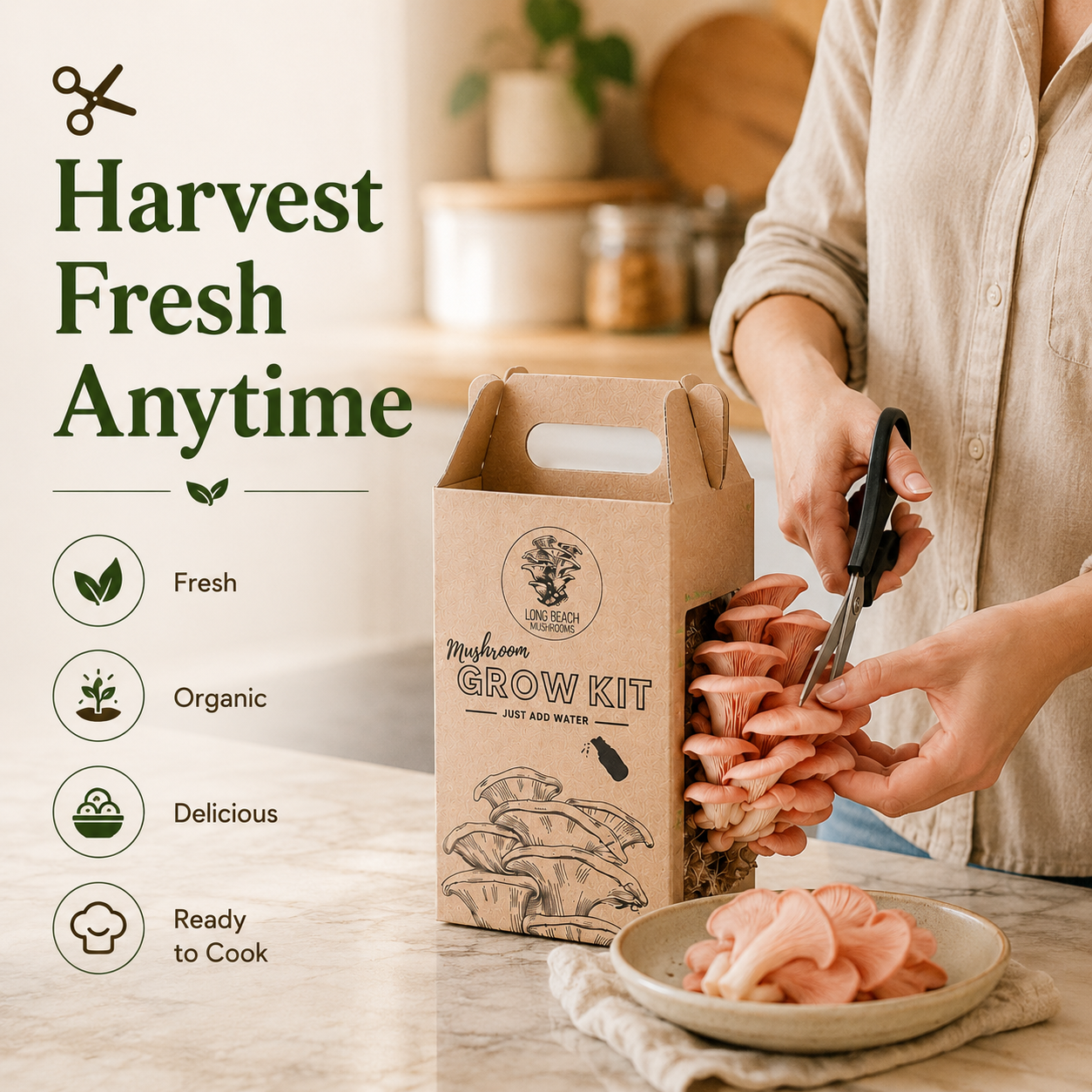 Premium Organic Mushroom Harvest Kit | BUY 1 GET 1 FREE