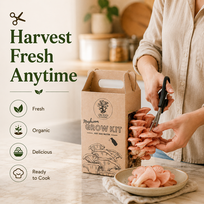 Premium Organic Mushroom Harvest Kit | BUY 1 GET 1 FREE