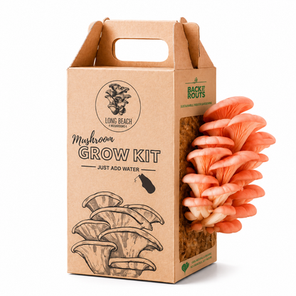 Premium Organic Mushroom Harvest Kit | BUY 1 GET 1 FREE